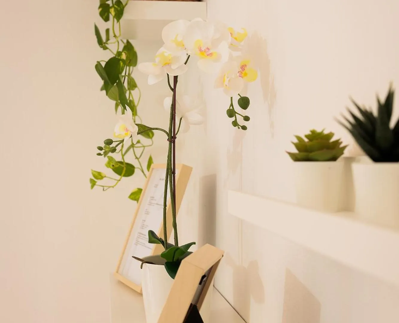 Pothos Apartment Terralba